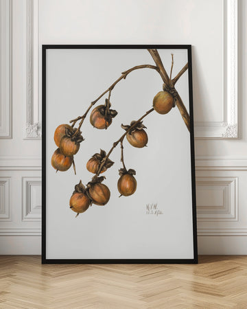 Persimmon (1920) | Poster - Room Interior 1