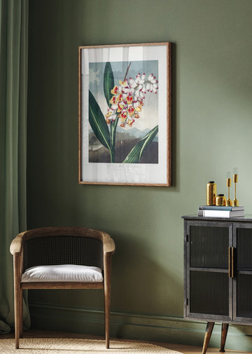 The Nodding Renealmia from The Temple of Flora (1807) | Poster - Room Interior 2