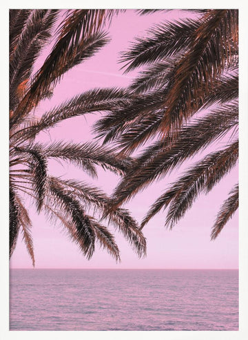 Pink Sky Tropical Palms | Poster - White Frame Interior