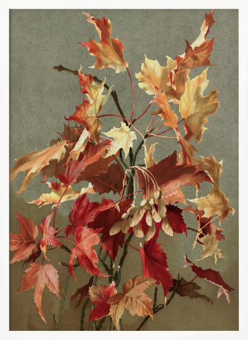 Autumn Leaves, No. 2 (maple) By Ellen Thayer Fisher | Poster - White Frame Interior
