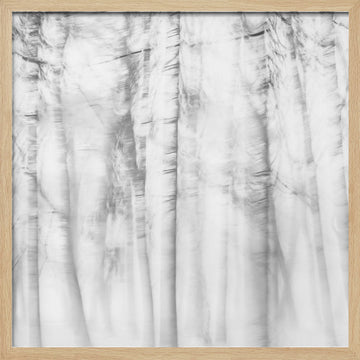 Ethereal Tree Lines | Poster - Wood Frame Interior