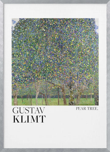 Pear Tree (1903) Poster | Poster - Silver Frame Interior