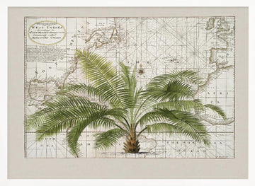 Vintage Caribbean Palm Map | Poster - White Frame Interior