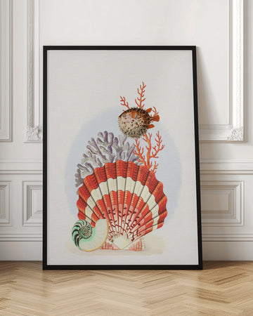 Oceanic Shells and Fish | Poster - Room Interior 1