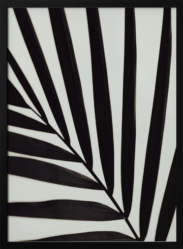 Tropical Leaf Lines | Poster - Black Metal Frame Interior