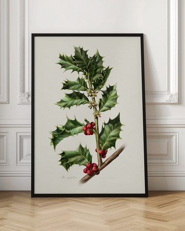 Festive Holly Berries | Poster - Room Interior 1