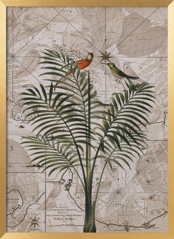 Tropical Birds on Vintage Map | Poster - Gold Frame Interior