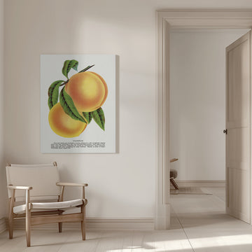 Champion Plum Lithograph | Canvas - Room Interior 1