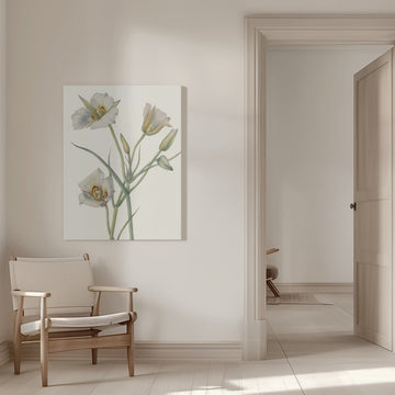 Sego Lily | Canvas - Room Interior 1