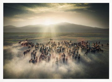 Wild Horses in Dust | Poster - White Frame Interior