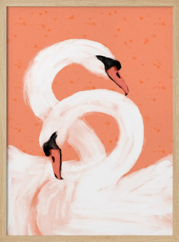 Graceful Swans | Poster - Wood Frame Interior