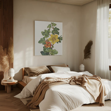 Mexican Fremontia From North American Wildflowers (1925) By Mary Vaux Walcott | Canvas - Room Interior 2