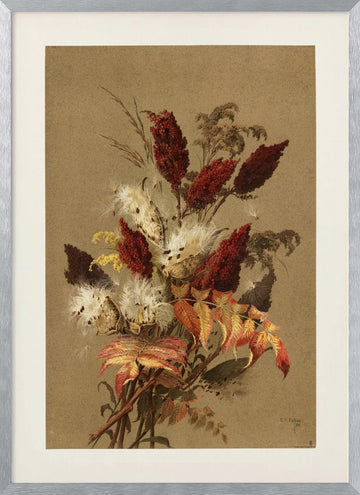 Sumac and Milkweed By Ellen Thayer Fisher | Poster - Silver Frame Interior