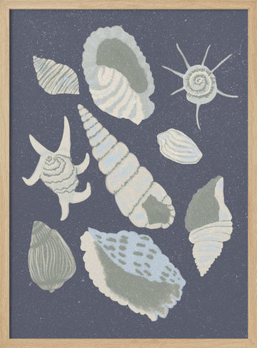 Seashells Collection | Poster - Wood Frame Interior