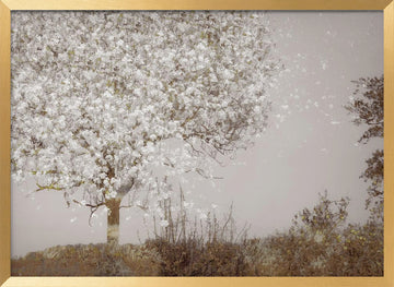 Fruit tree | Poster - Gold Frame Interior