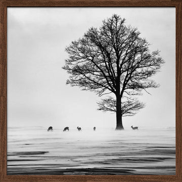 Winter Tree and Deer | Poster - Walnut Frame Interior