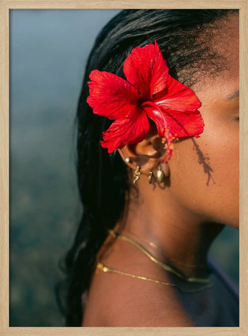 Hibiscus Serenity | Poster - Wood Frame Interior
