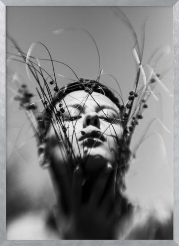 Nature's Serene Embrace | Poster - Silver Frame Interior