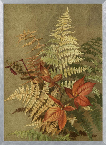 Autumn Ferns | Poster - Silver Frame Interior