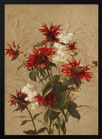 Balm and Spiraea By Ellen Thayer Fisher | Poster - Black Metal Frame Interior
