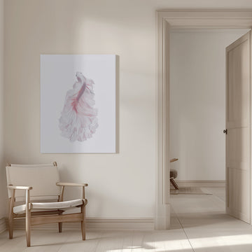 Pink Betta Elegance | Canvas - Room Interior 1