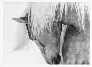 Serene Horse Portrait | Poster - White Frame Interior