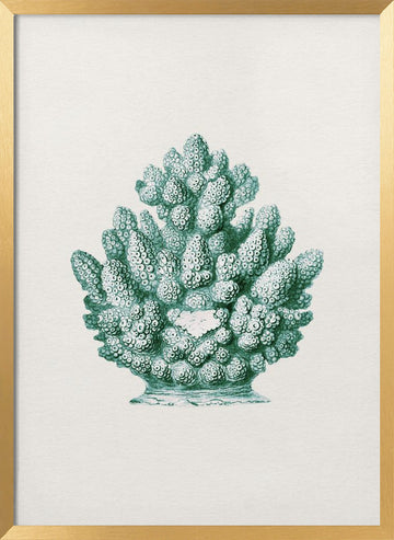 Teal Ocean Coral | Poster - Gold Frame Interior