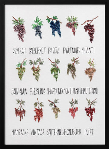 Wine Grape Varieties | Poster - Black Metal Frame Interior