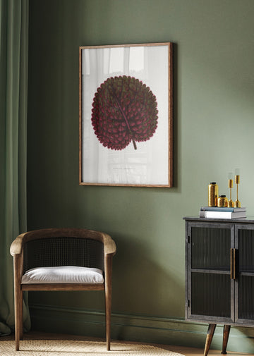 Pink Gesneria Exoniensis Leaf Illustration | Poster - Room Interior 2