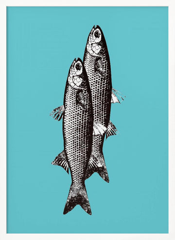 Vintage Fish Duo | Poster - White Frame Interior