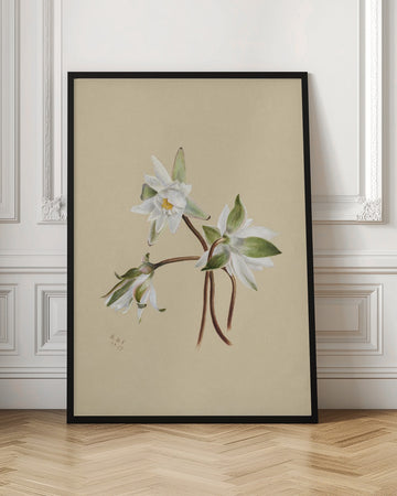 Water Lilies (1879) | Poster - Room Interior 1