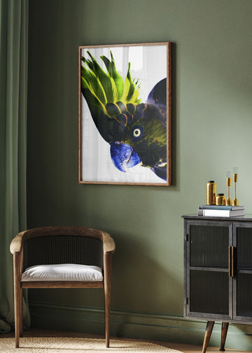 Vivid Bird Glance | Poster - Room Interior 2