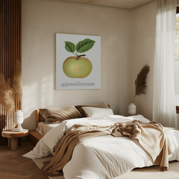 Mann Apple Lithograph | Canvas - Room Interior 2