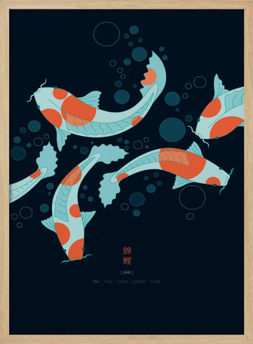 Graceful Koi Swim | Poster - Wood Frame Interior