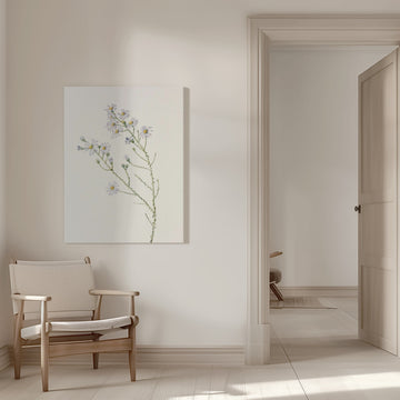 Pineland Aster From North American Wildflowers (1925) By Mary Vaux Walcott. | Canvas - Room Interior 1