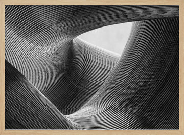 Dynamic Architectural Curves | Poster - Wood Frame Interior