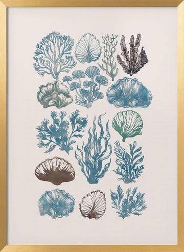 Vintage Marine Flora | Poster - Gold Frame Interior
