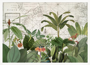 Tropical Map Explorations | Poster - White Frame Interior