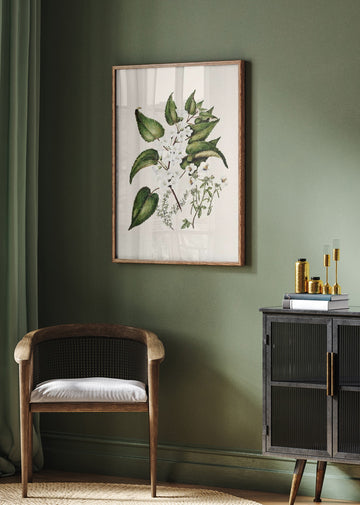 Hibiscus Trianium  By Sarah Featon (1848–1927 | Poster - Room Interior 2