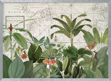 Tropical Map Explorations | Poster - Silver Frame Interior