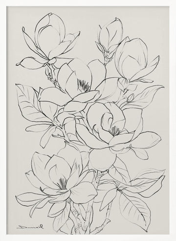 Magnolia Tree | Poster - White Frame Interior