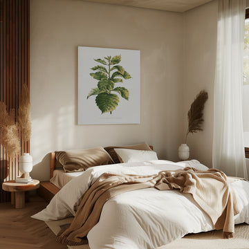 Common Hawnthorn Leaf Illustration | Canvas - Room Interior 2