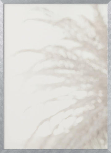 Soft Pampas Light | Poster - Silver Frame Interior