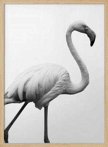 Graceful Silhouette | Poster - Wood Frame Interior