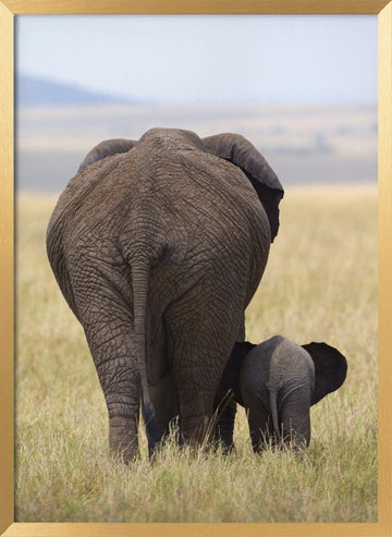 Elephant Mother and Calf | Poster - Gold Frame Interior