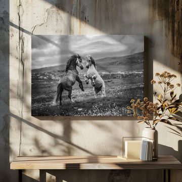 Wild Horses Rearing | Canvas - Room Interior 2