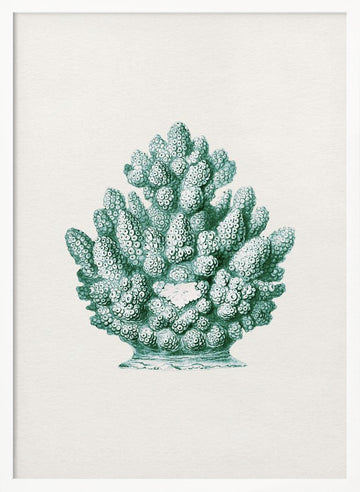 Teal Ocean Coral | Poster - White Frame Interior