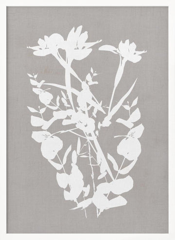 Modern Botanical Silhouettes | Poster - White Frame Interior