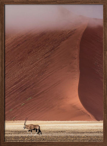 Misty Red Desert Oryx | Poster - Walnut Frame Interior