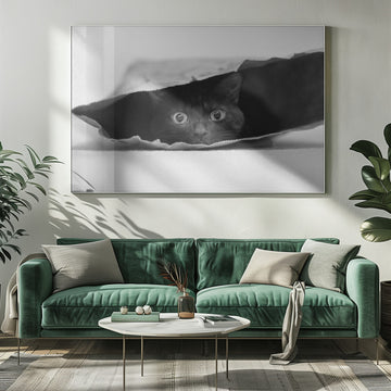 Curious Black Cat | Poster - Room Interior 1